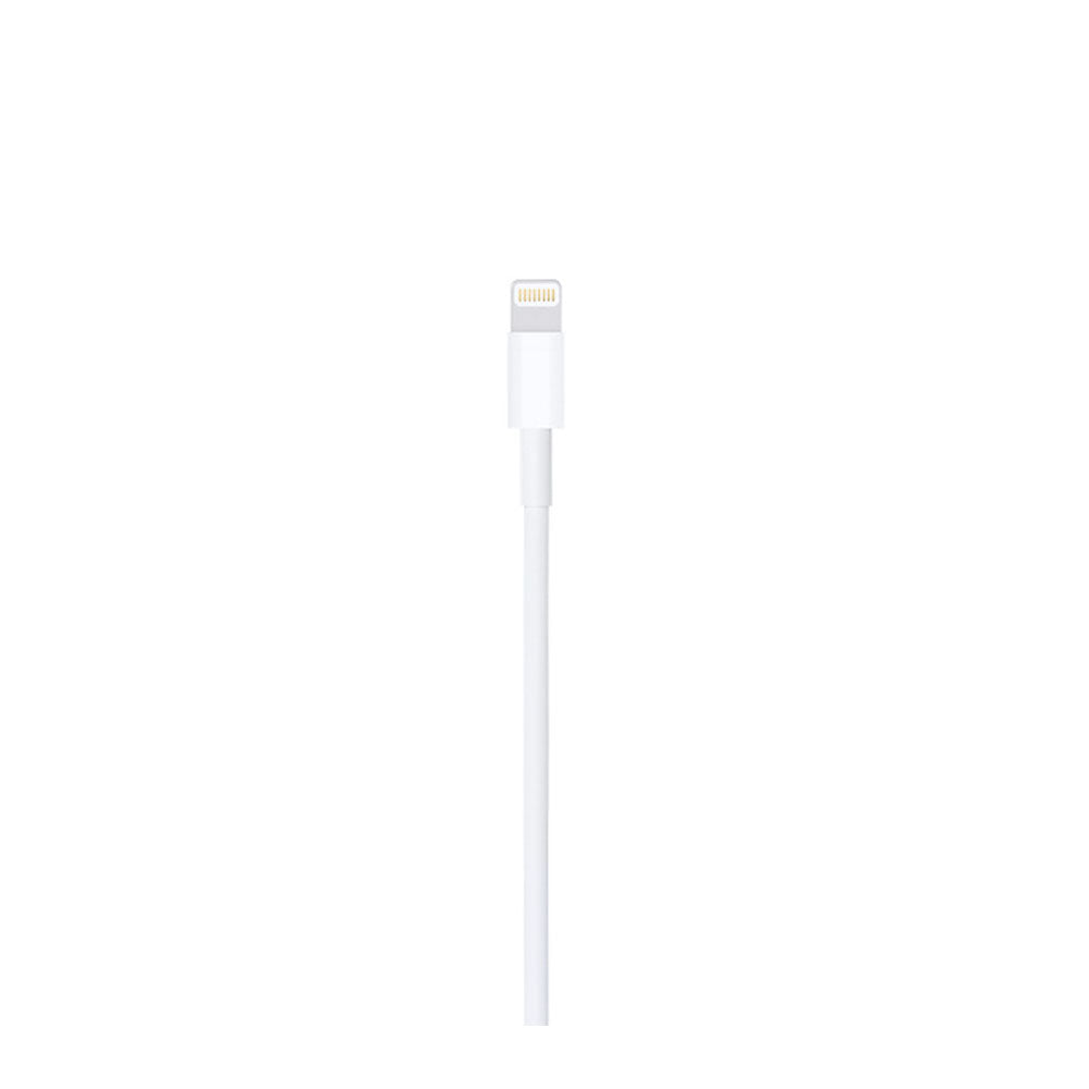 apple lightning to usb c cable 1 m