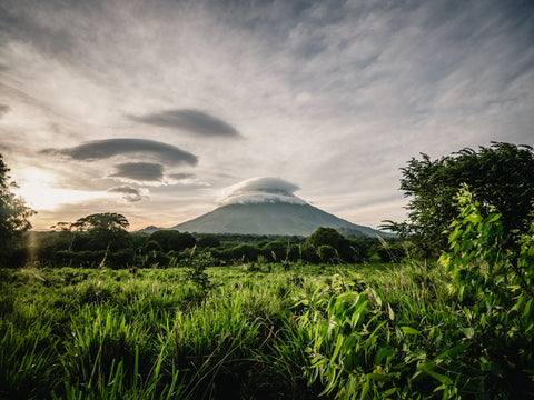 Nicaraguan Cigars