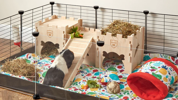 un cochon d'inde noir et blanc montant la rampe d'un chateau en bois de la marque Kavee dans une cage avec des accessoires en polaire colorés