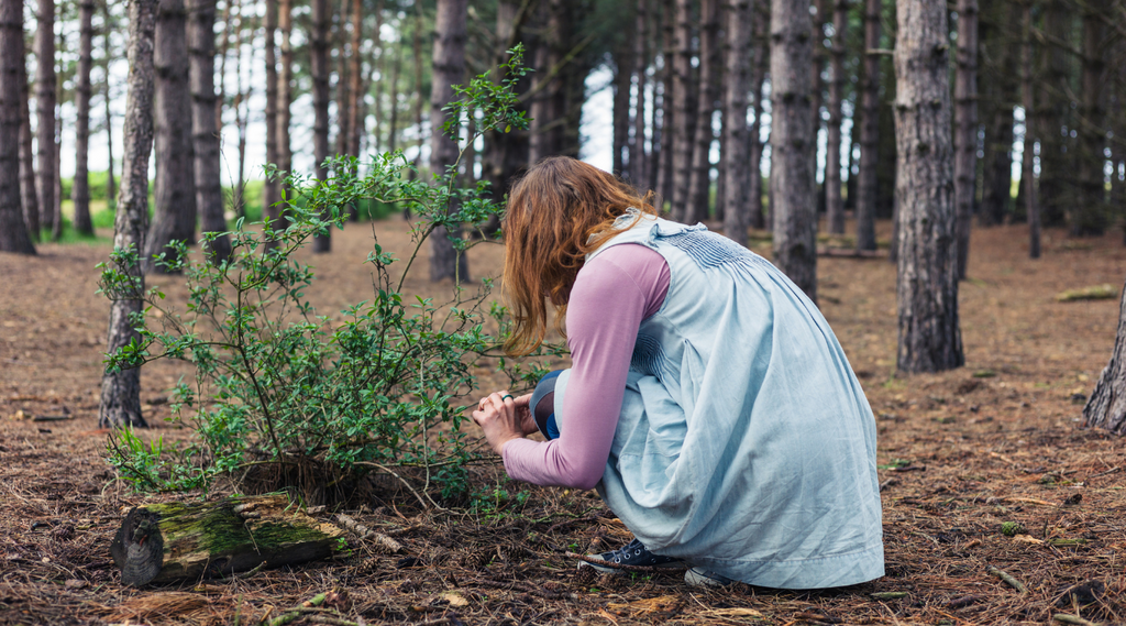 une femme qui cueille des plantes dans une forêt