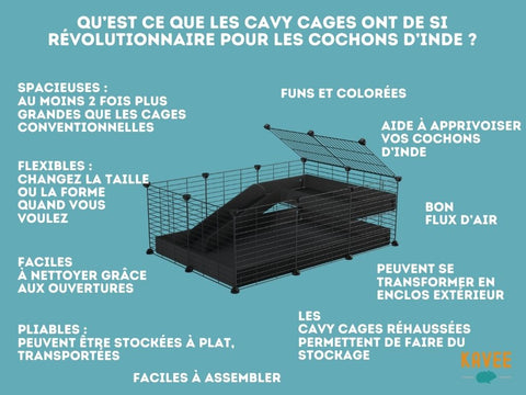 cavy c&c cage cochon d'inde meilleur cage pour cochon d'inde kavee france