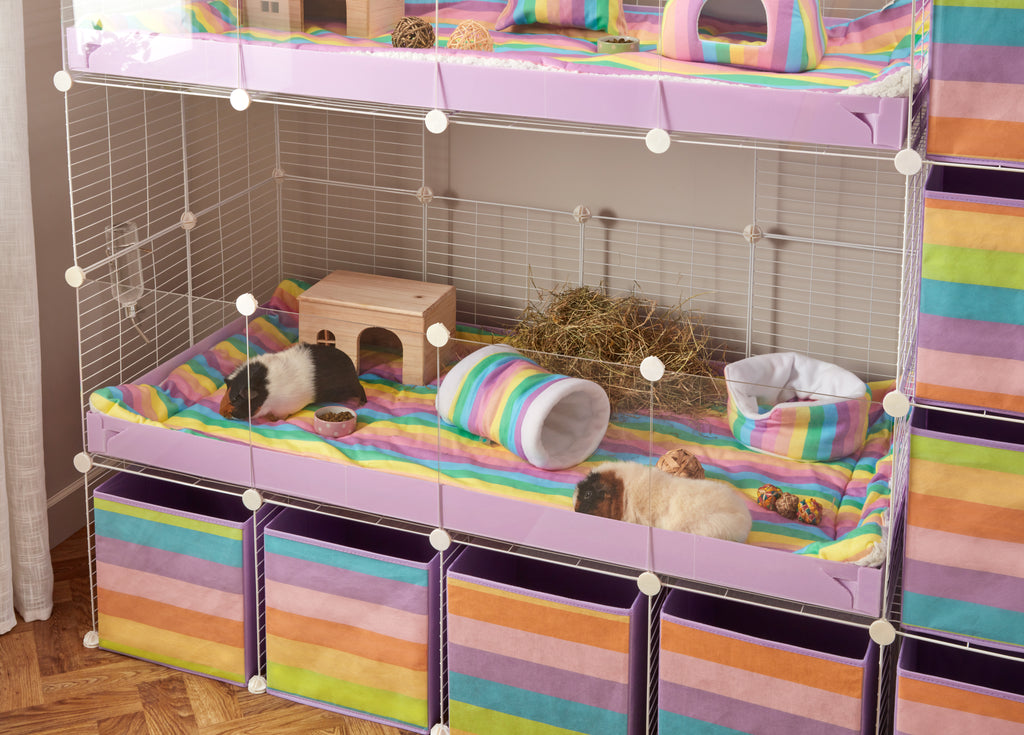 cavy cage arc-en-ciel colorée avec tapis et accessoires polaires de la marque Kavee avec des cochons d'Inde