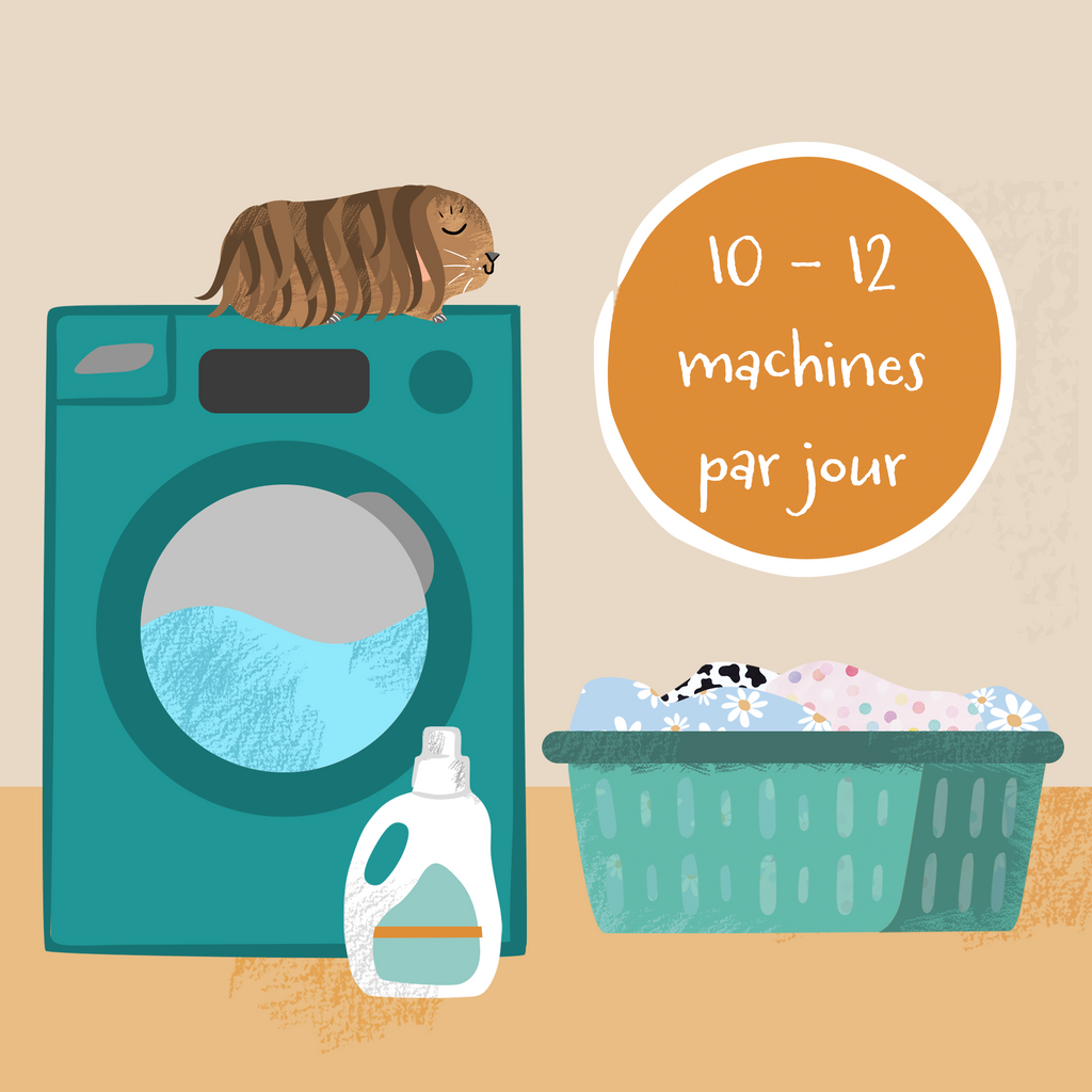 dessin d'un cochon d'inde sur une machine à laver qui tourne