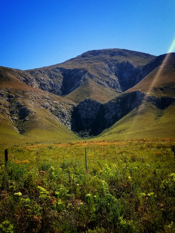 Overberg Mountains, Western Cape
