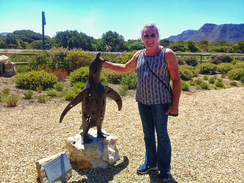 African Penguin & Seabird Sanctuary, Gansbaai