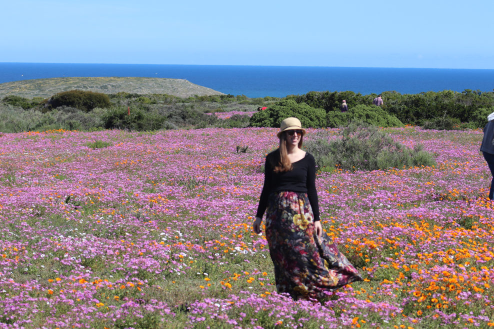 West Coast National Park, Flowers, South Africa, National Park, SANParks, West Coast