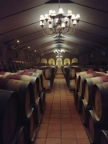 Cellar Tour at Waterford Wine Estate