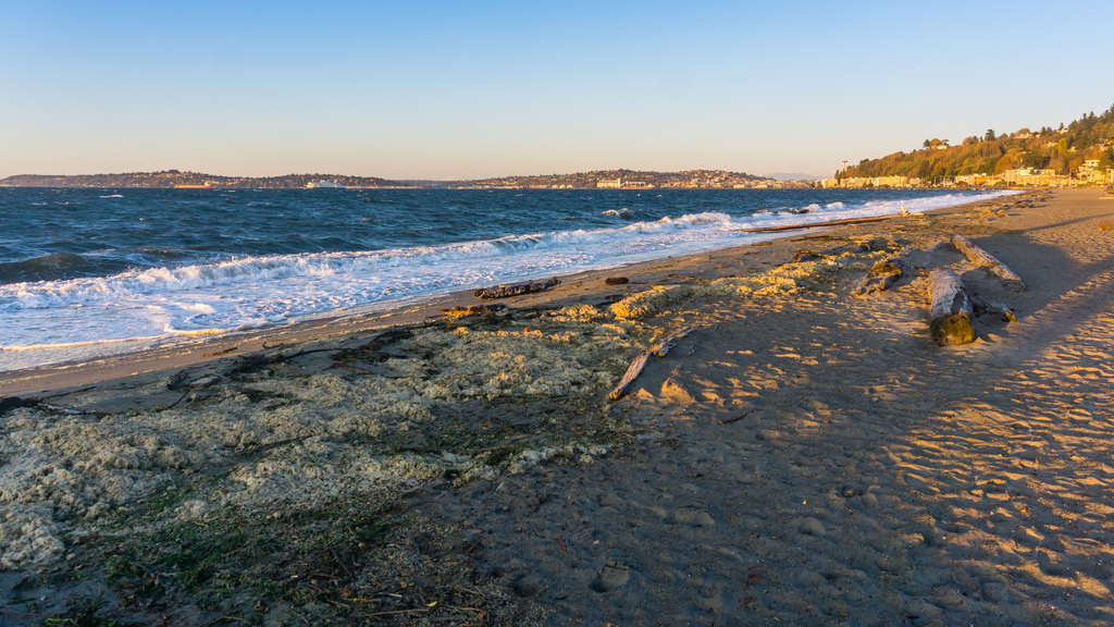 Alki's Beach