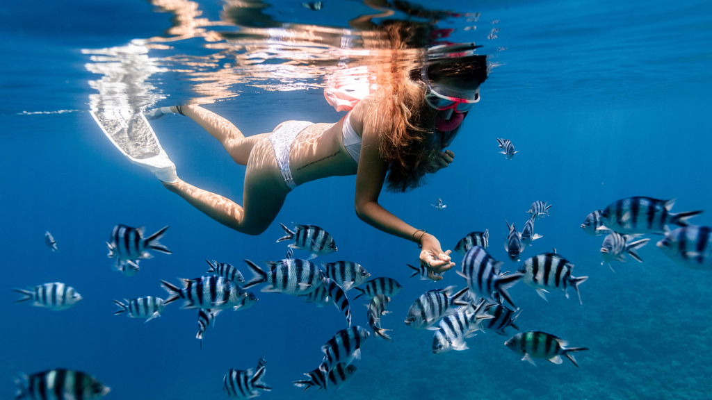 Anonymous Woman Snorkeling with Fishes