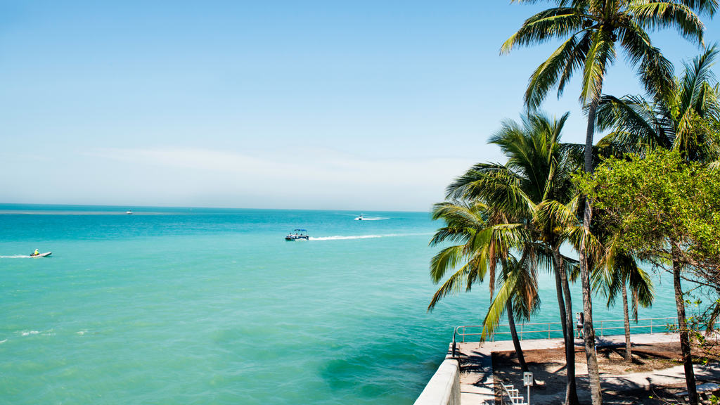 Best Snorkeling in the Florida Keys