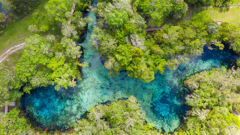Crystal River, Florida, One of the Clearest Water Places to Snorkel