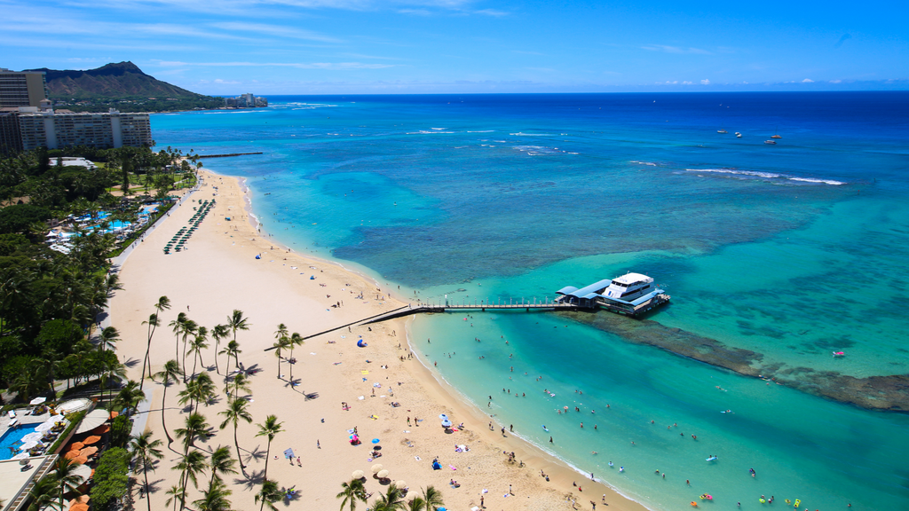 Best Snorkeling in Honolulu