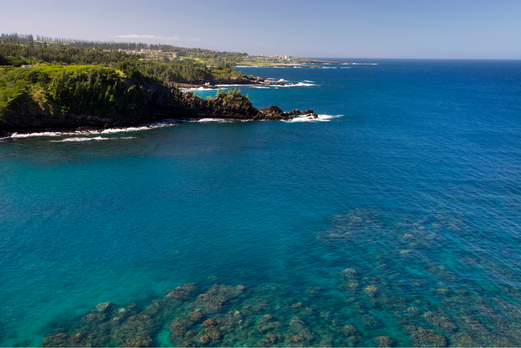 Honolua Bay