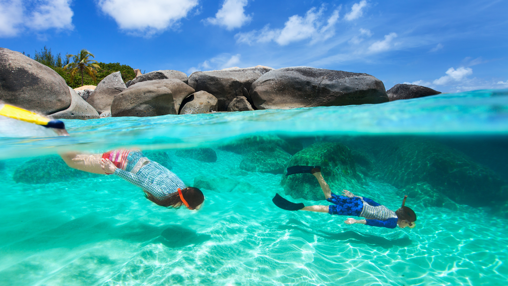 Snorkeling beginners