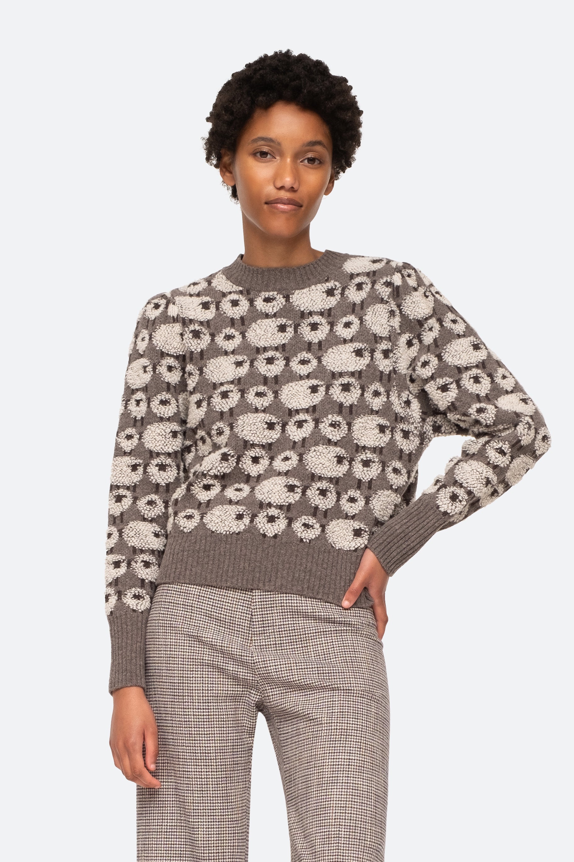 Sheep Sweater