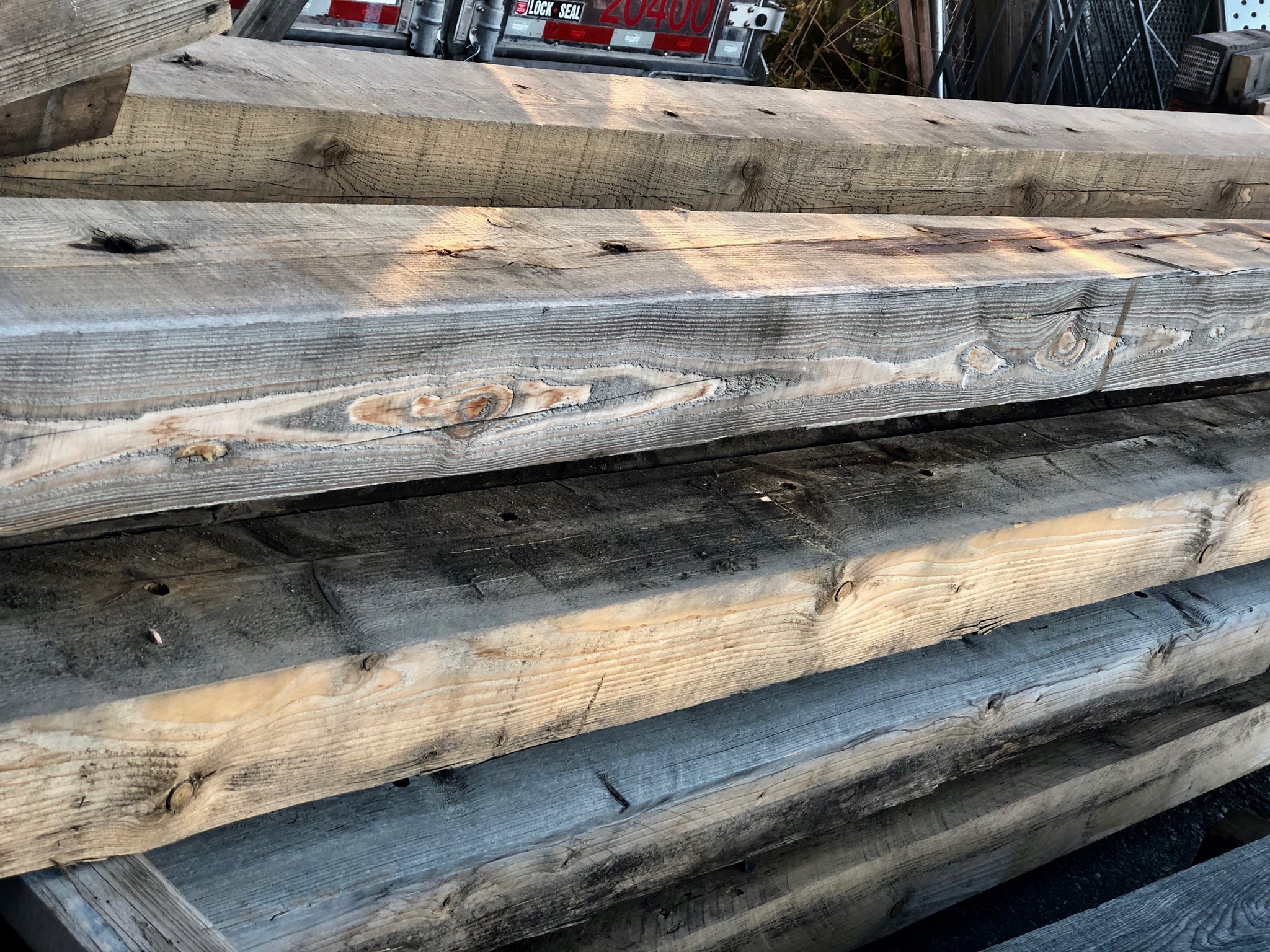 westland survival larch plank