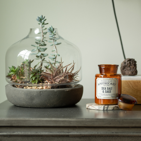 Paddywax Apothecary amber candle with succulent terrarium sitting on nightstand