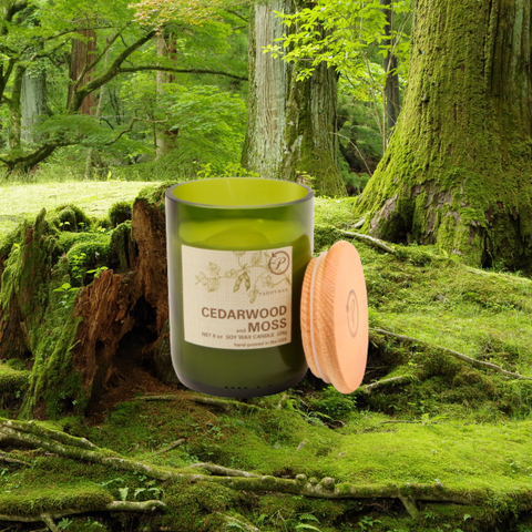 Eco candle with trees and moss in the background