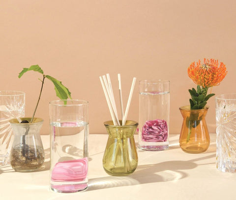 Colorful glass oil diffusers with reed sticks and showcasing reusability with seeds and plants growing out of some of the glass vessels