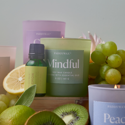 Mindful Wellness Paddywax Candle