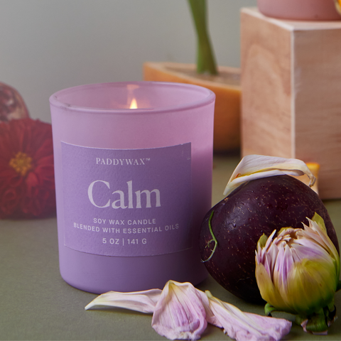 Calm Candle Wellness Collection Paddywax Candle