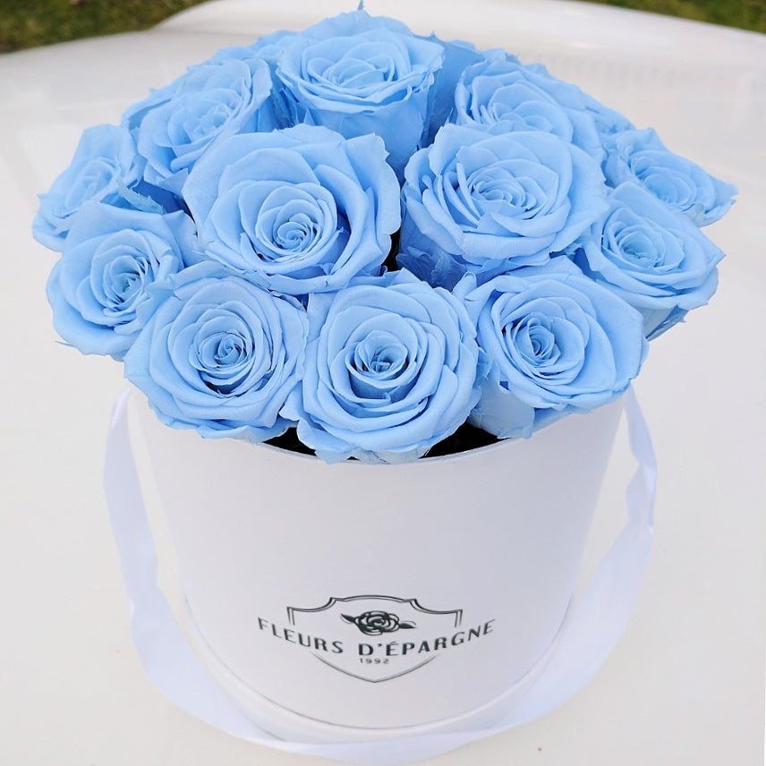 Blue Dream in Classic Rose Bucket – fleursdepargne