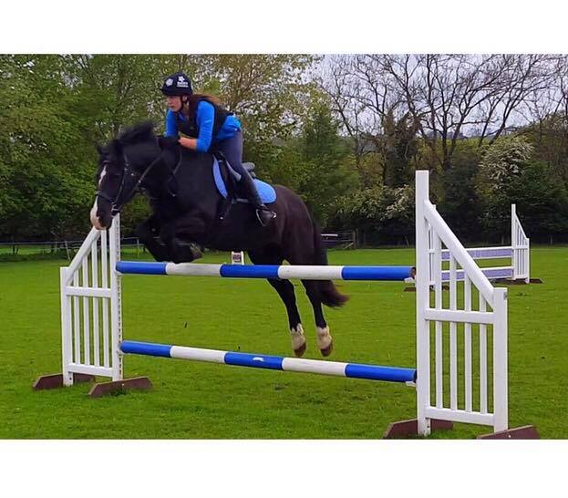 CONFIDENCE IN HORSE JUMPING – DVR Equestrian Ltd