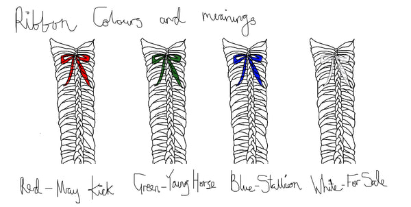 Horse Tail Ribbon Meanings