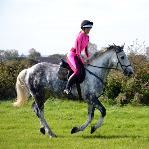 Dappled grey horse canter