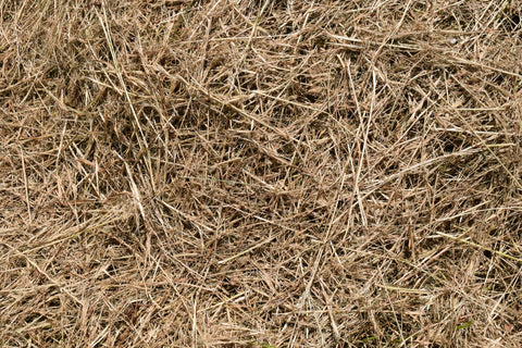 Use un eated hay as a base to your horse's bed