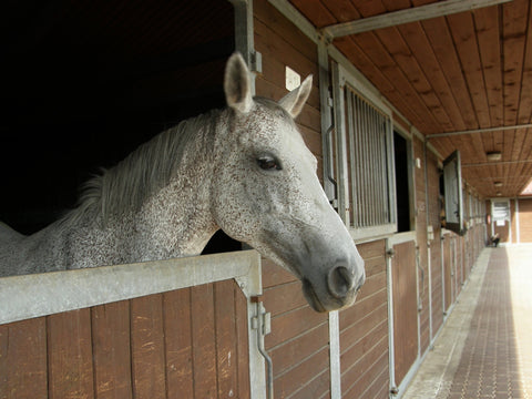 Be economical on your mucking out to save money 