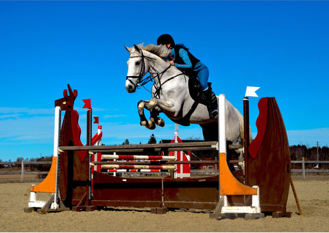 How to learn from the best horse riders