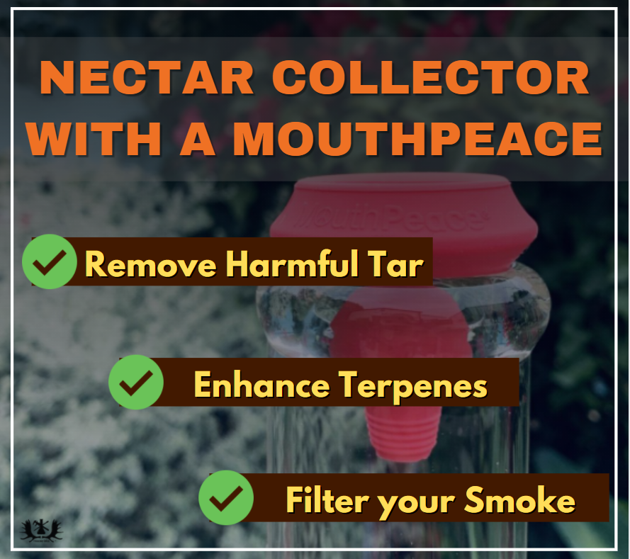 How to use a nectar collector