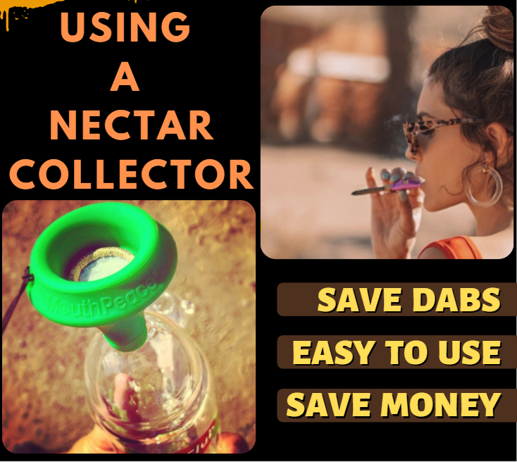 How To Use A Nectar Collector In 7 Simple Steps + Bonus Review