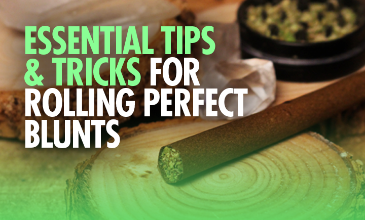 essential tips and tricks for rolling perfect blunts