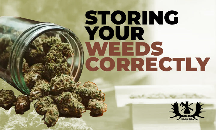 storing your weeds correctly