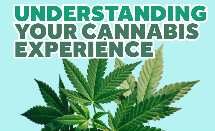 understanding your cannabis experience