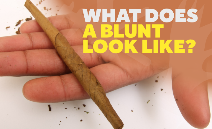 what does a blunt look like