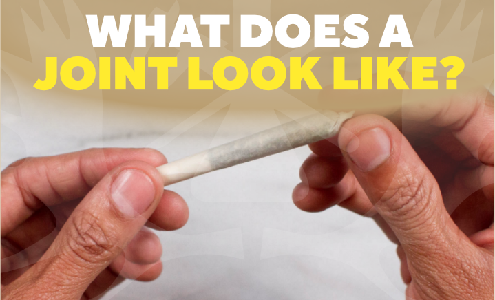 what does a joint look like