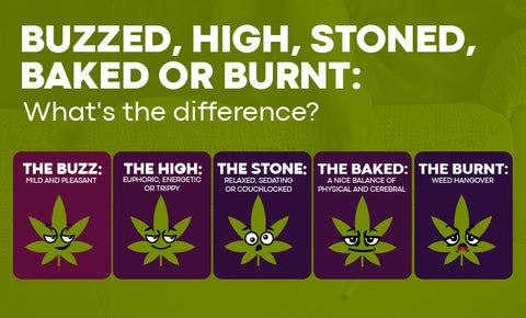 What does stoned mean–and is it different from being high? - Moose Labs LLC