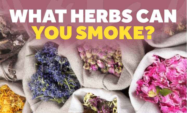 what herbs can you smoke