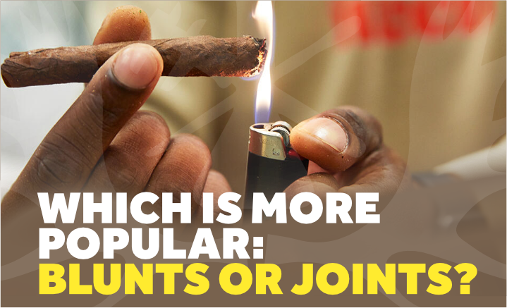 which is more popular blunts or joints