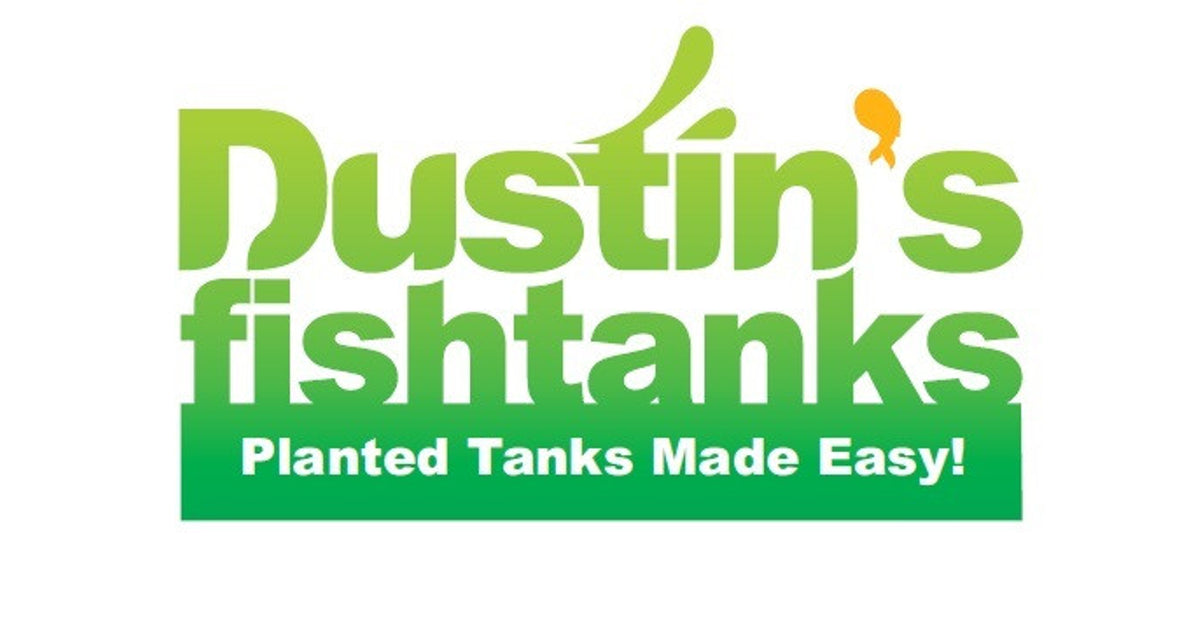 (c) Dustinsfishtanks.com