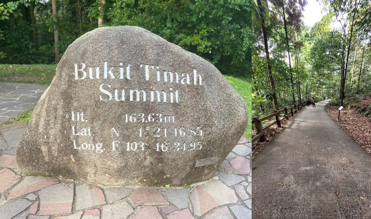 Bukit Timah Hill