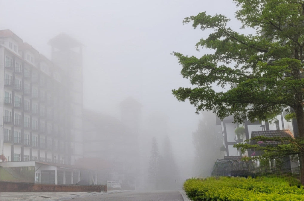 Cameron Highlands