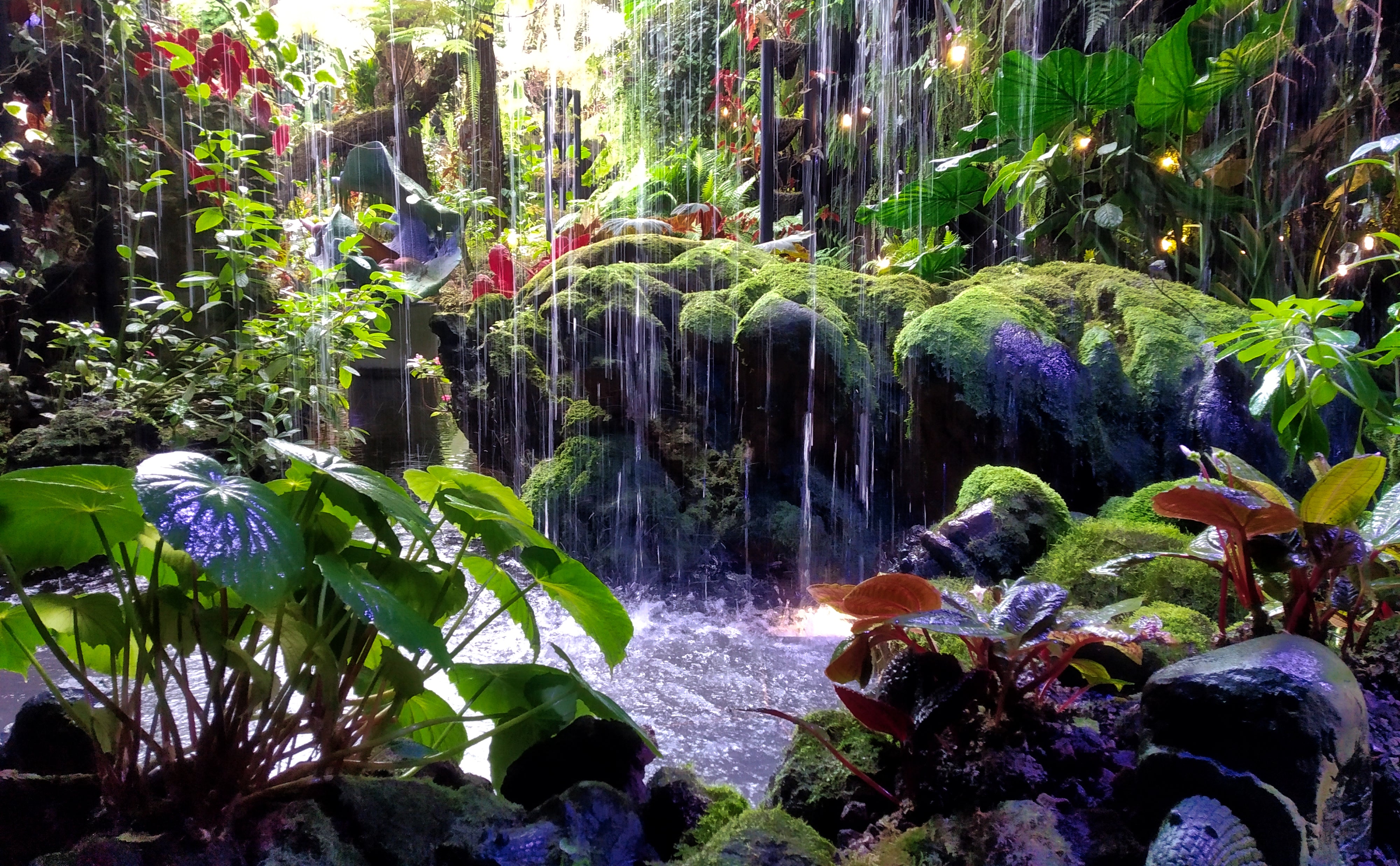 Sunday Shades - Cloud Forest - Gardens by the Bay