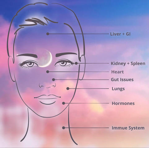 Face Mapping Diagram 