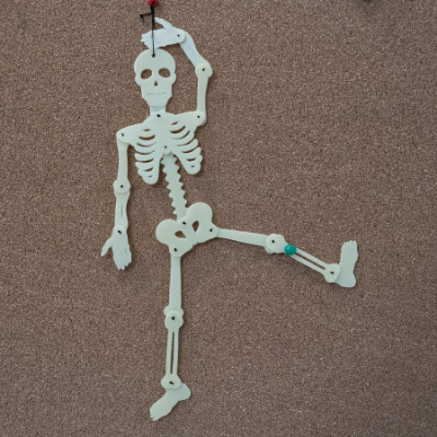 Halloween Props - Skeleton