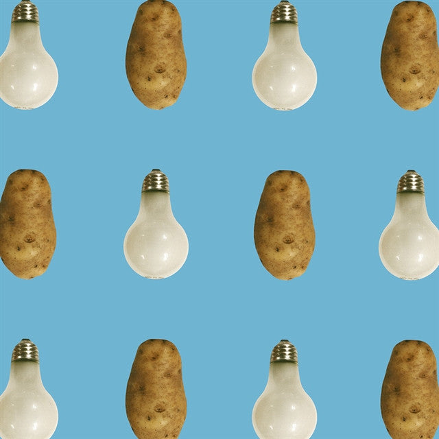 john baldessari wallpaper artware editions potato lightbulb wallpaper by john baldessari