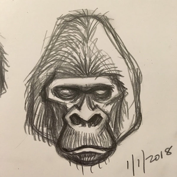 King Kong gorilla head sketch by George Coghill.